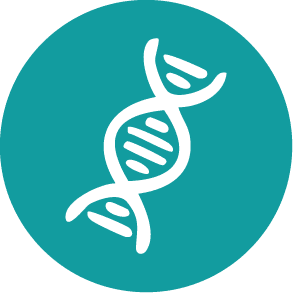 DNA helix icon representing skin cell regeneration