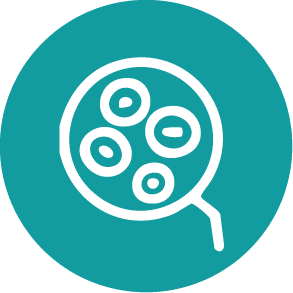 Skin analysis magnifying glass icon